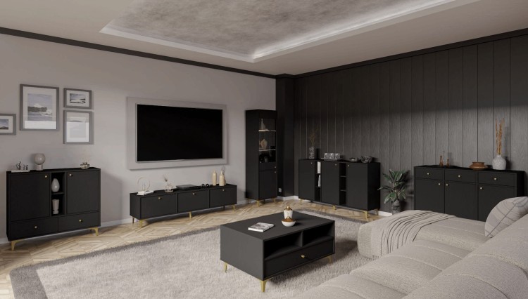 tokio rtv czarny wizalizacja.jpg