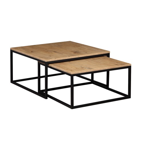 TWIKS - dąb lancelot - na białym tle.jpg